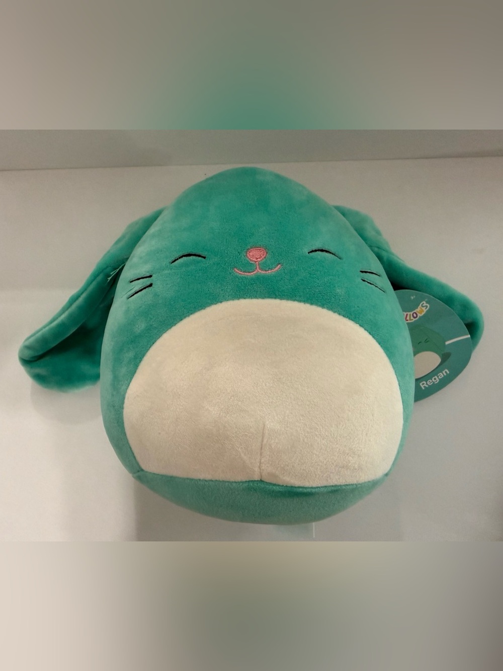 Squishmallows Teal Green Regan Plush Bunny with Cream Belly